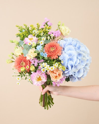 Bouquet Cassis M - Livraison fleurs - Fleuriste en ligne Bergamotte