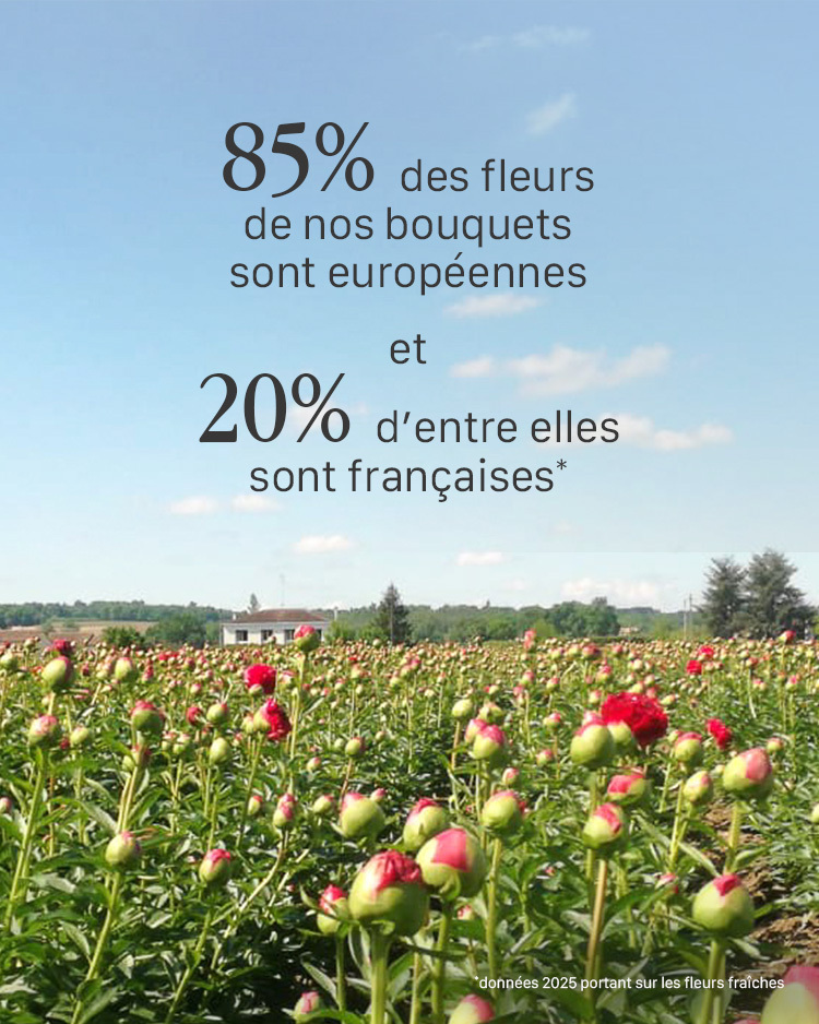 Bergamotte France