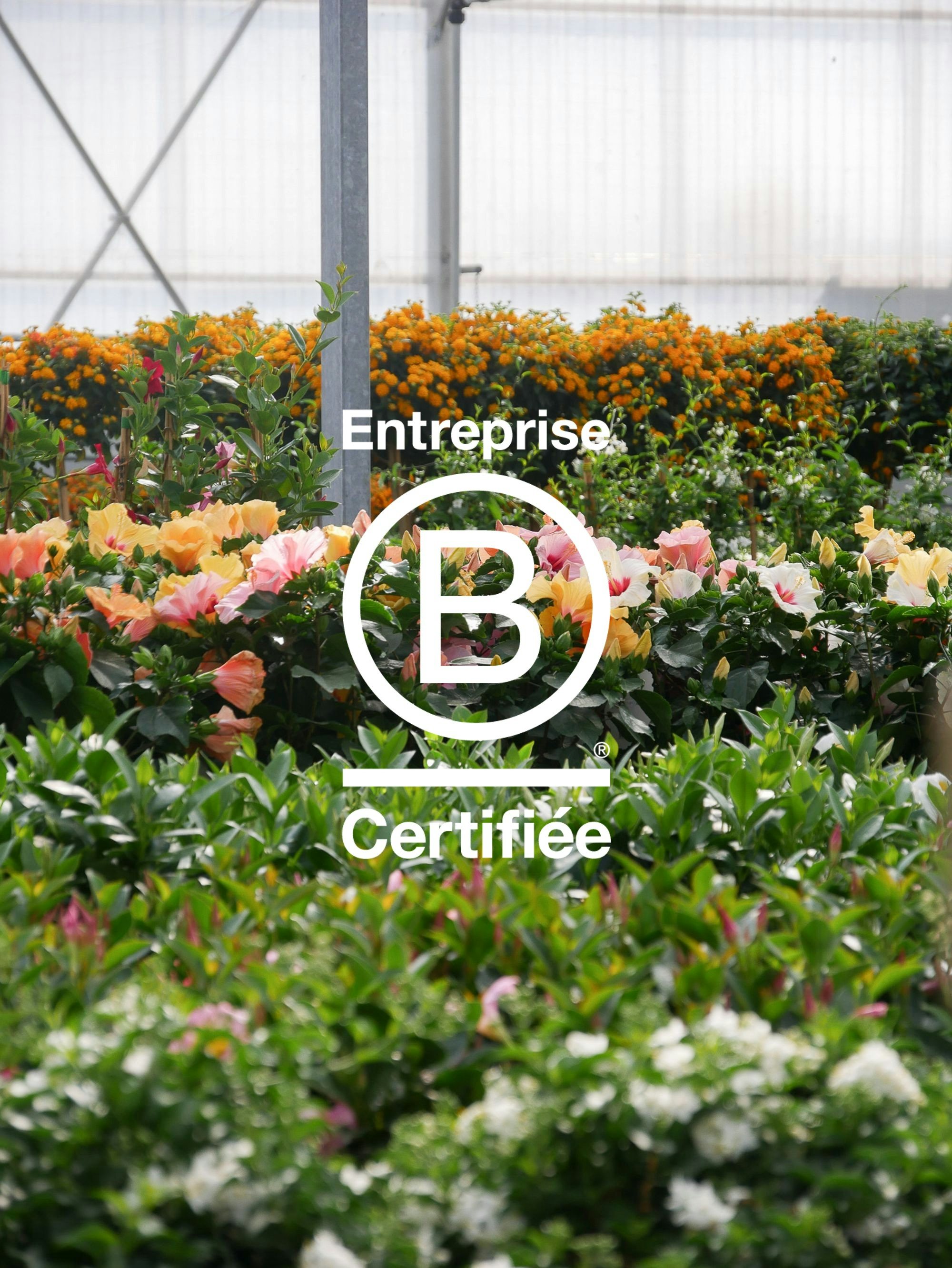 Certified B Corp
