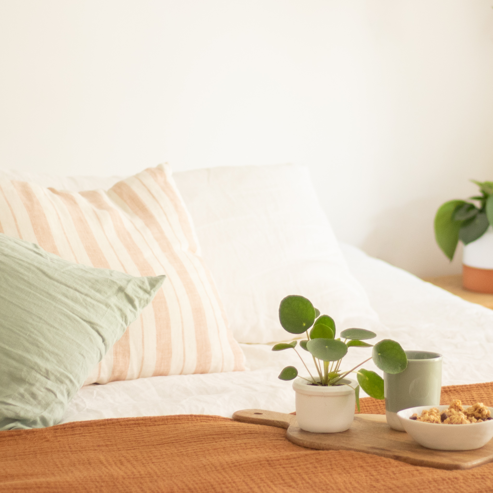 plante-intérieur-chambre-a-coucher