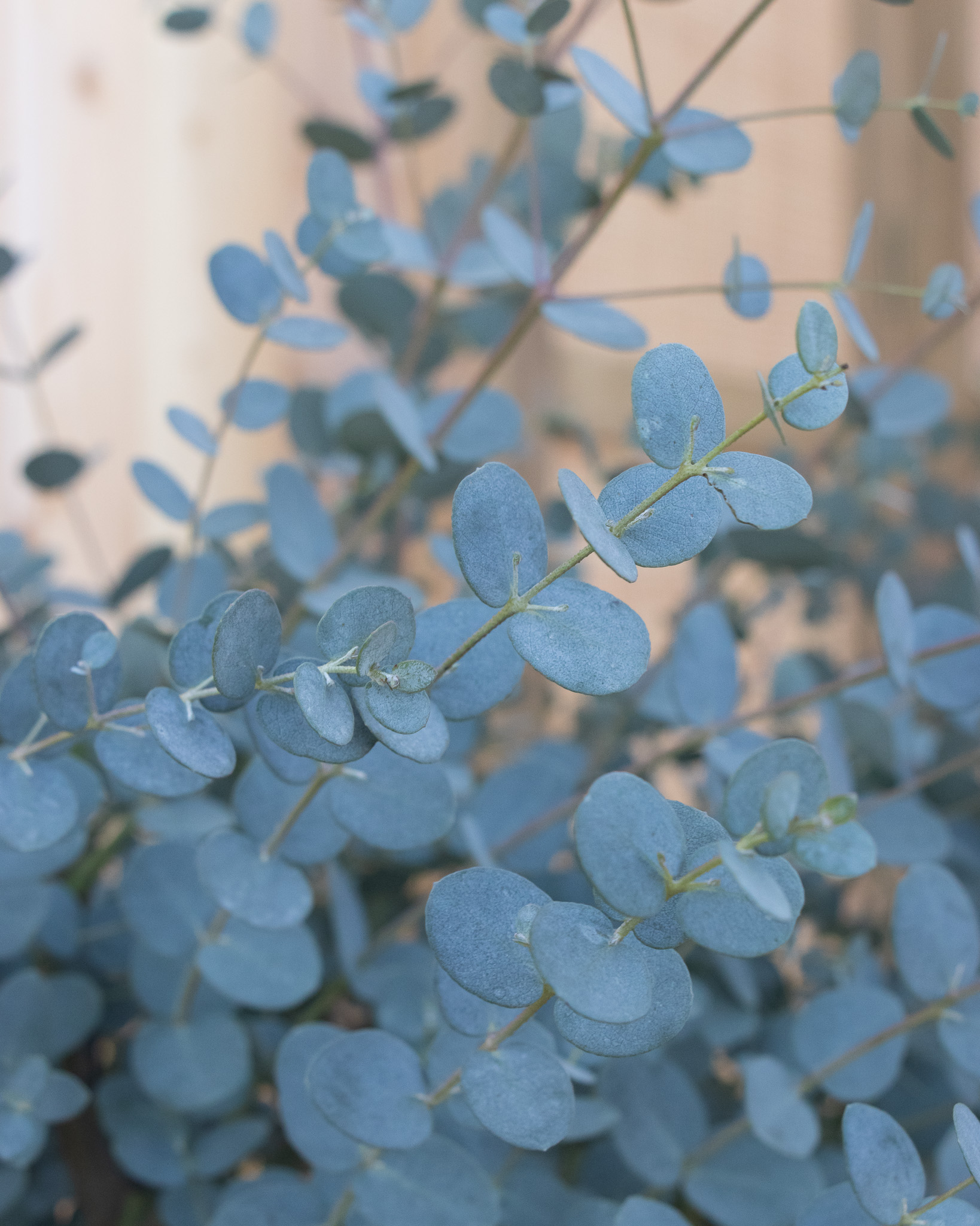 Rencontrez notre producteur responsable d