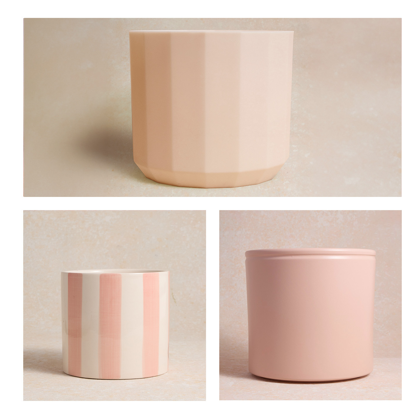Cache-pots adaptés à la tribu pet friendly 2
