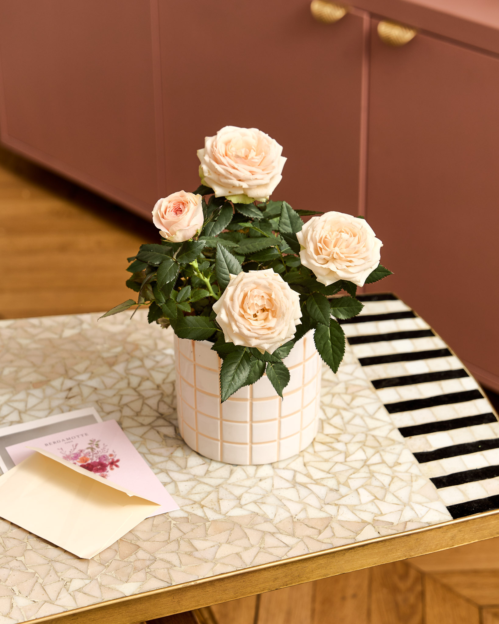 Découvrez notre Rosier Jeanne, le cadeau fleuri pour la fête des mères 