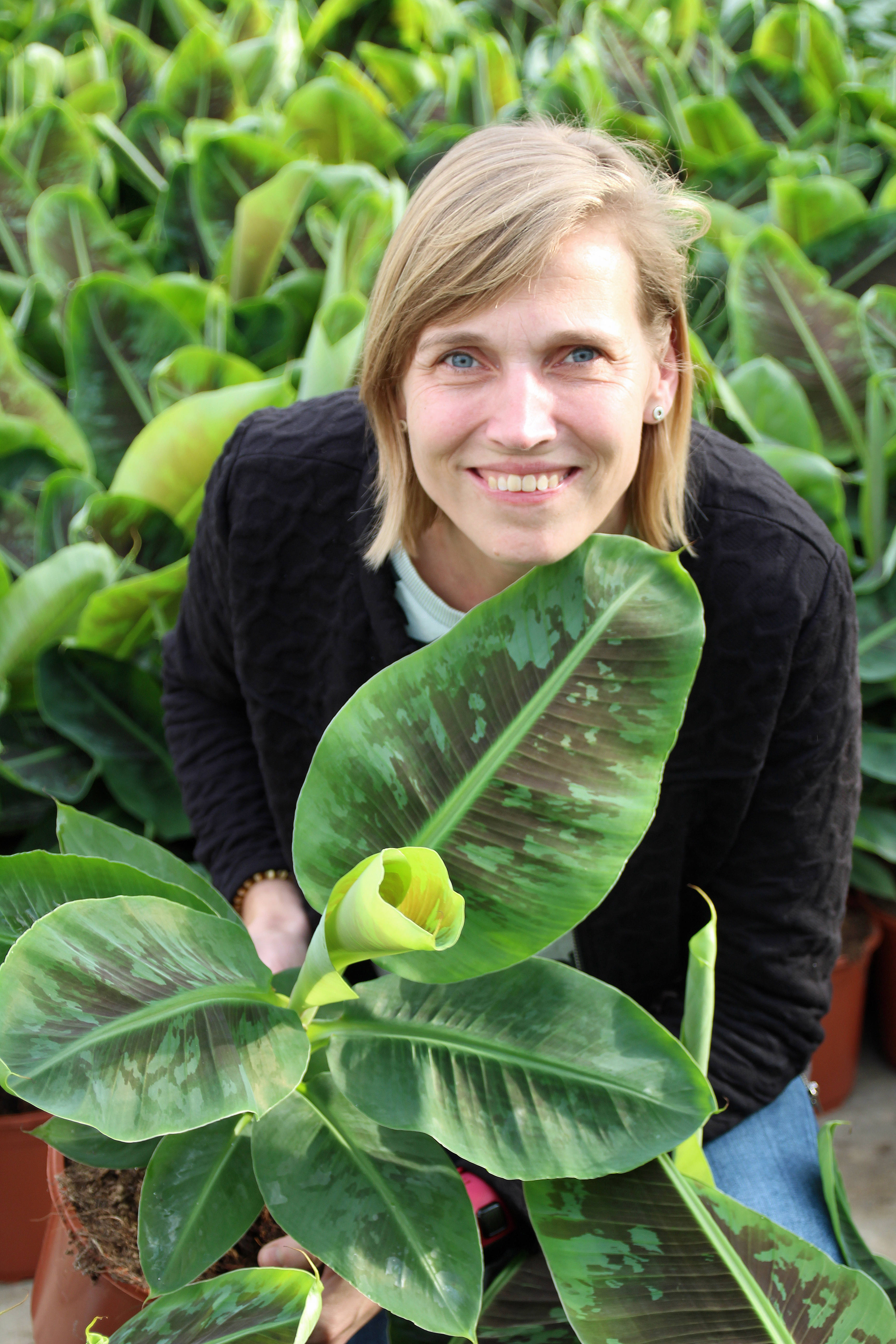 Partez à la rencontre de notre producteur Geest Potplanten