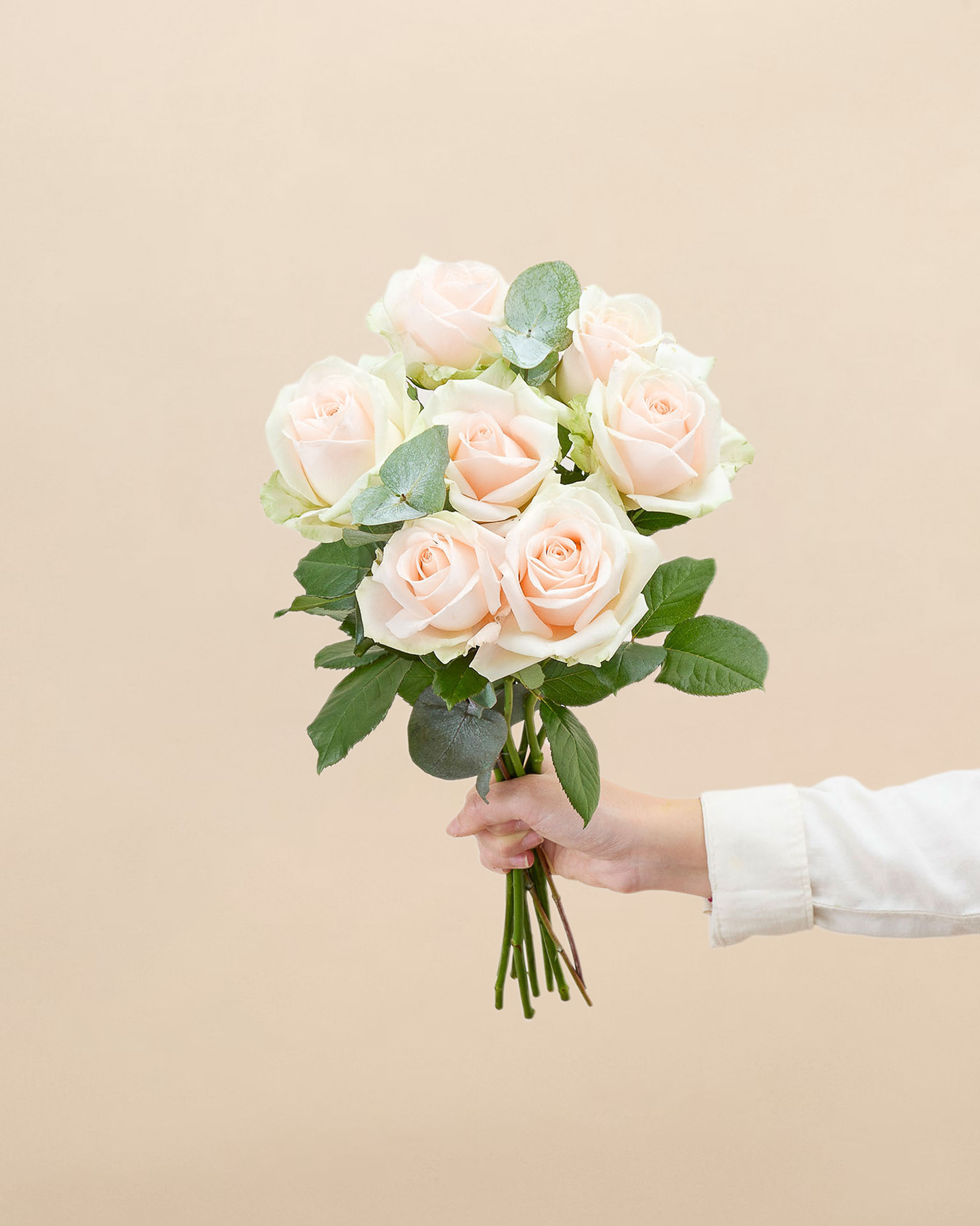 Bouquet de roses Coloma S