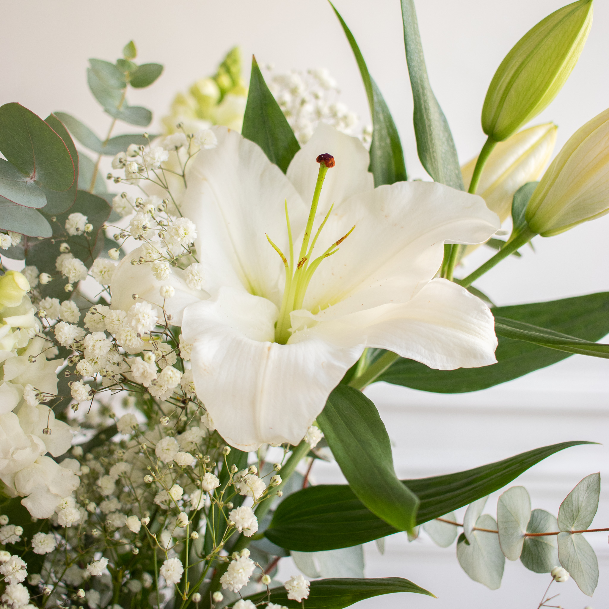 La Fleur de Lys signification et symbole