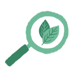 Image de traçabilité