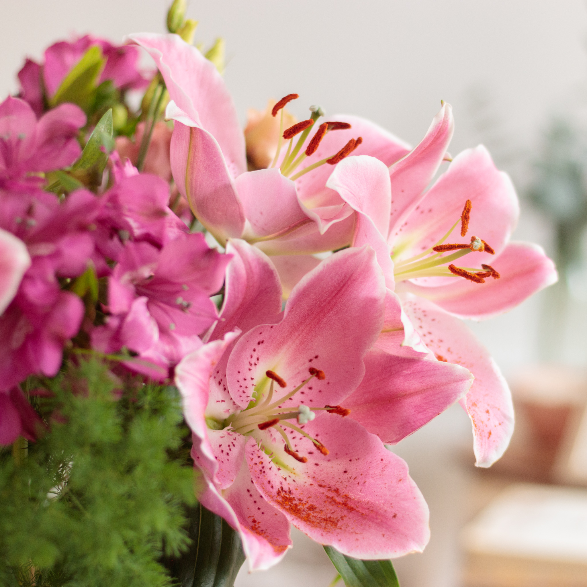 La Fleur de Lys signification et symbole