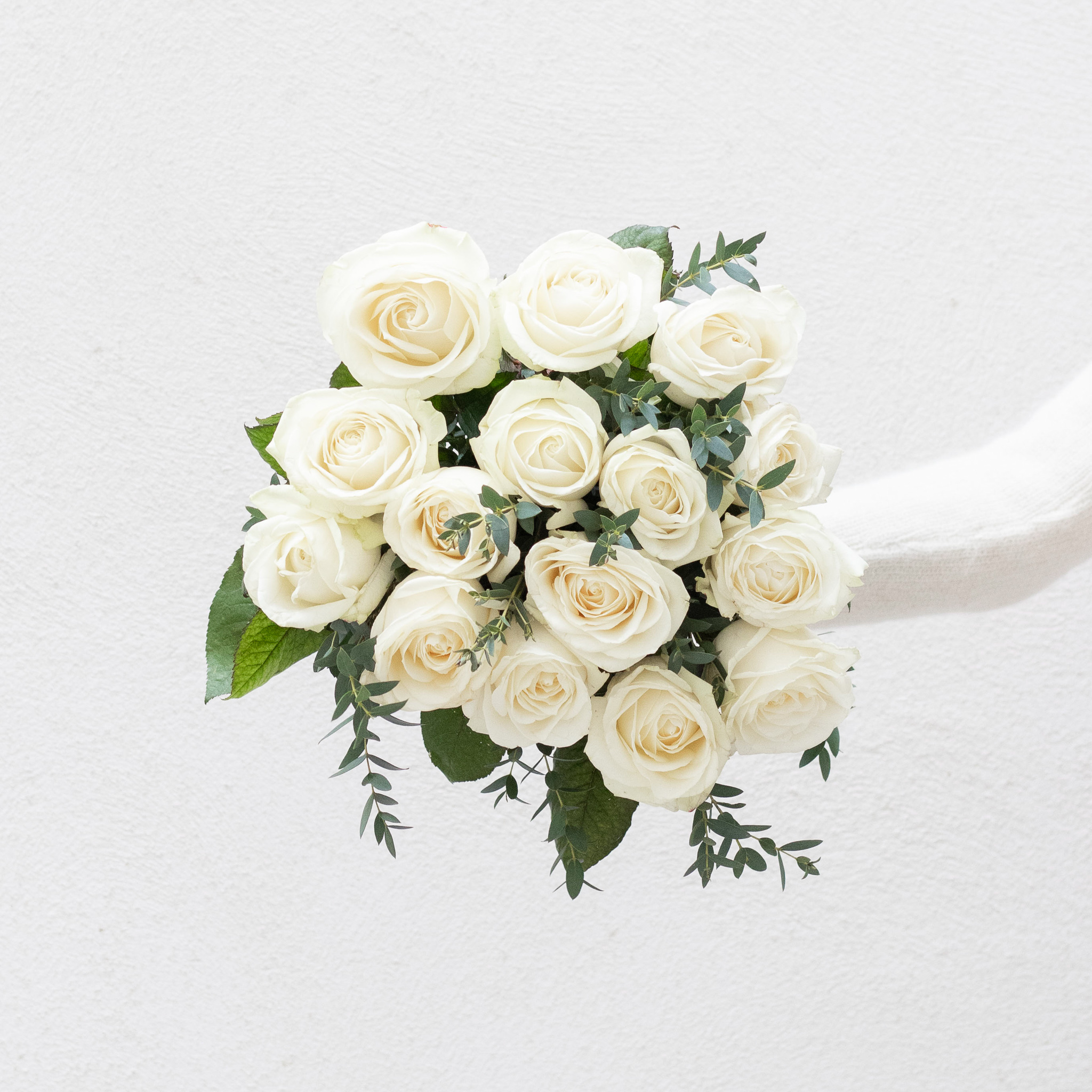 rose-blanche-signification