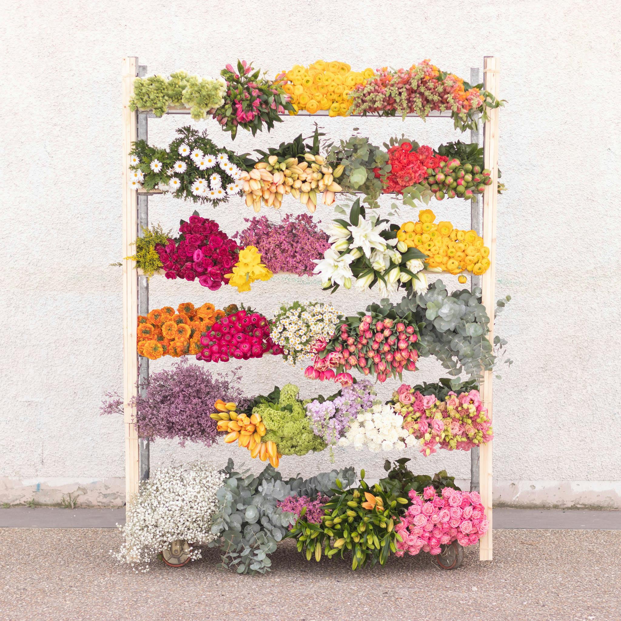 Nos Conseils Astuces Pour Entretenir Fleurs Et Fleurs Sechees Bergamotte