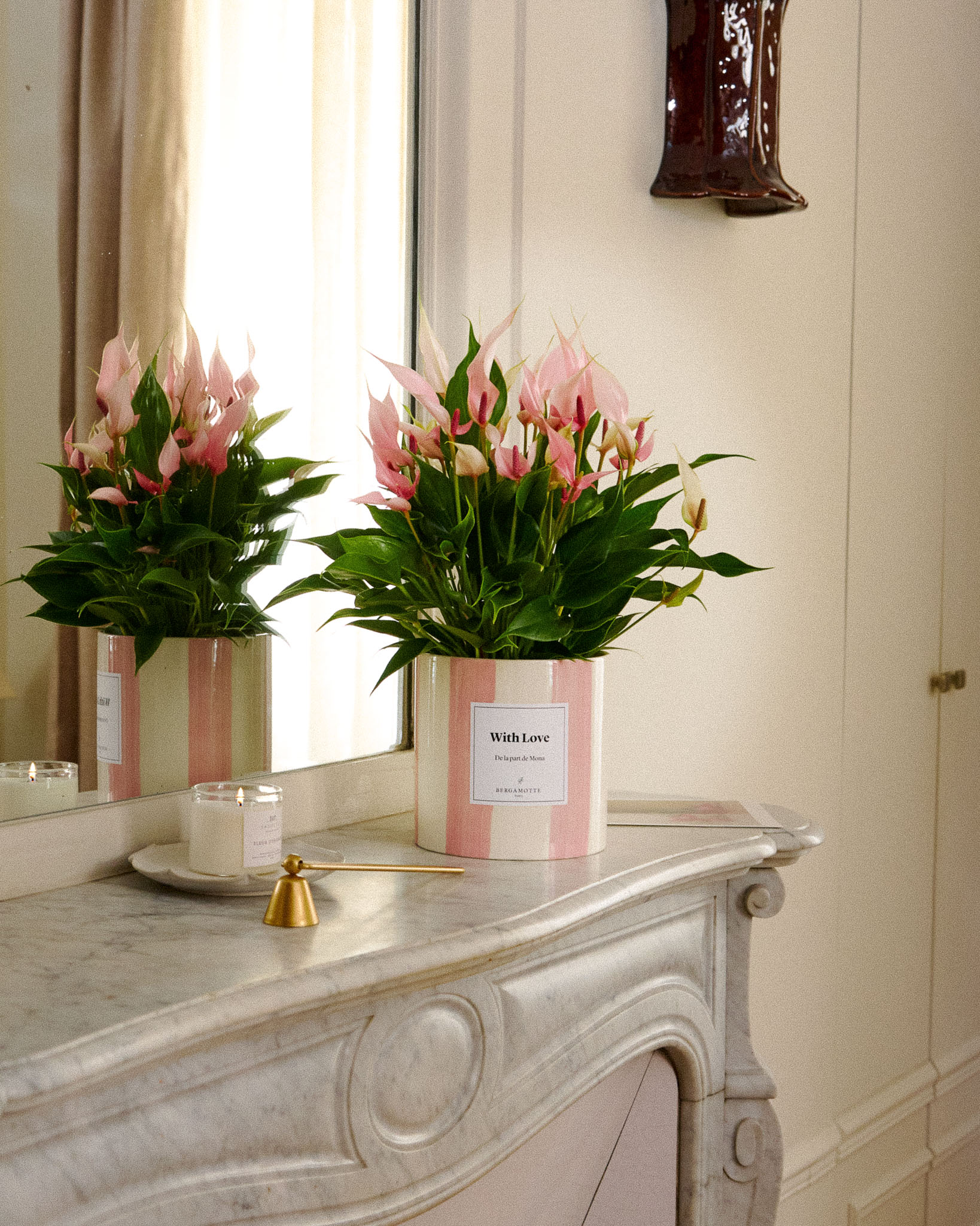 petit anthurium