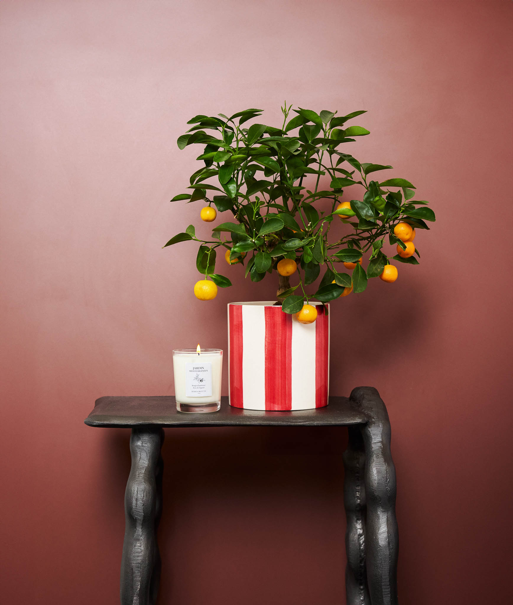 oranger d intérieur