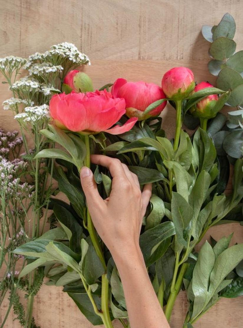 Close up of a peonie