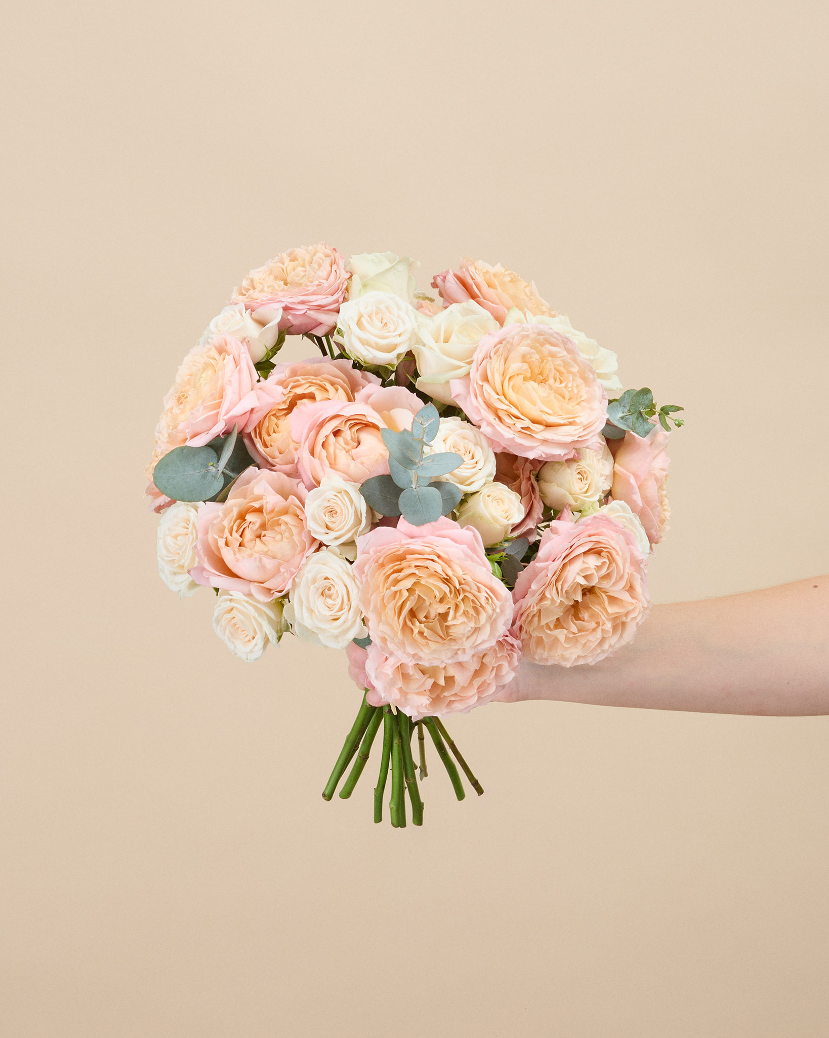 Bouquet Bagatelle
