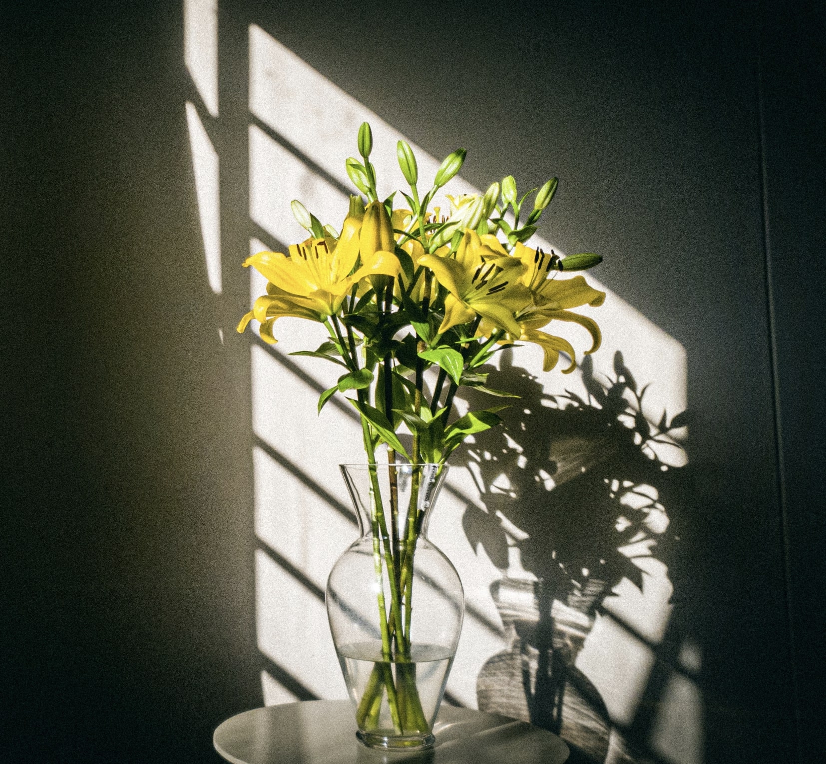 signification-lys-jaune