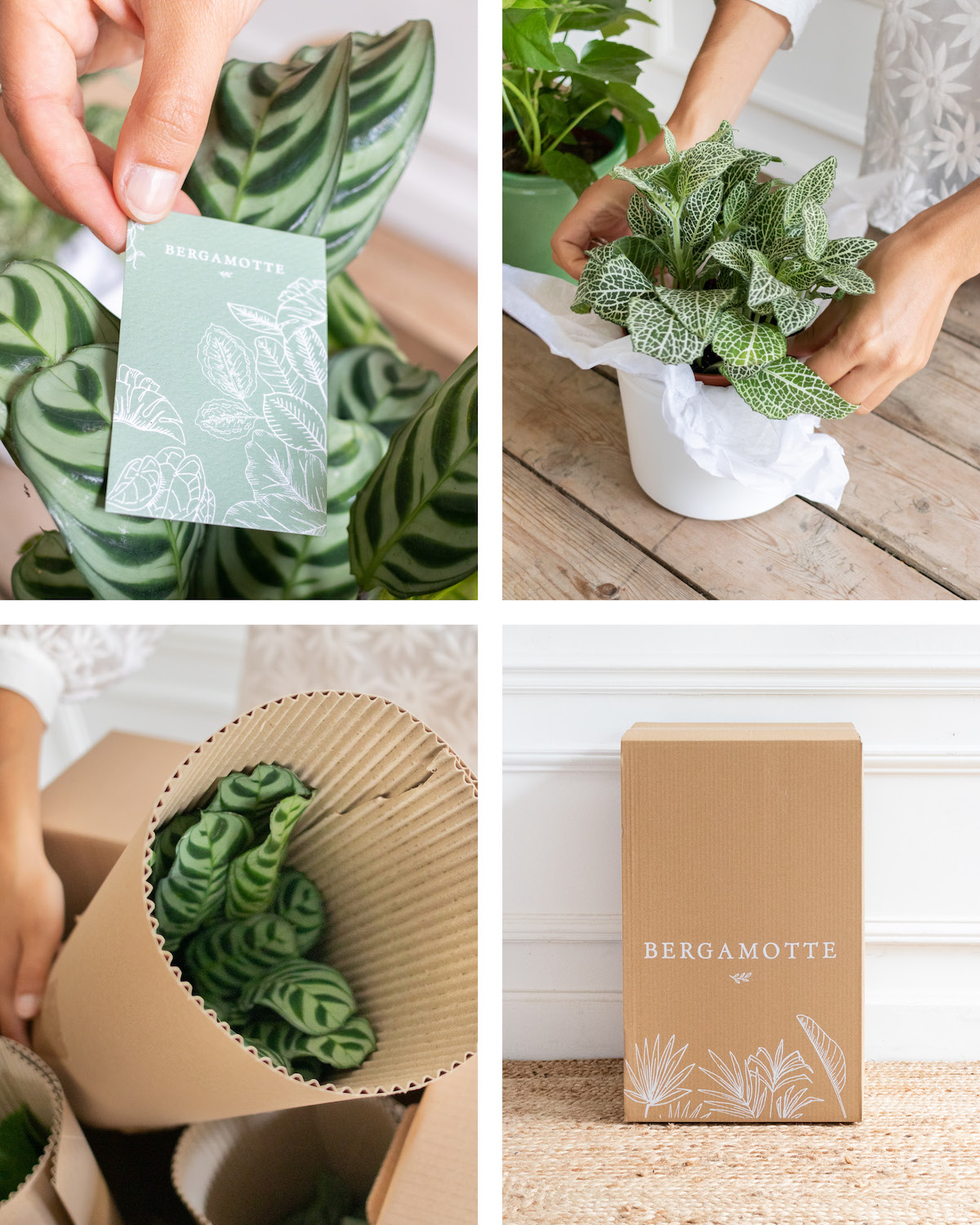 Emballage sur-mesure, 100% adapté