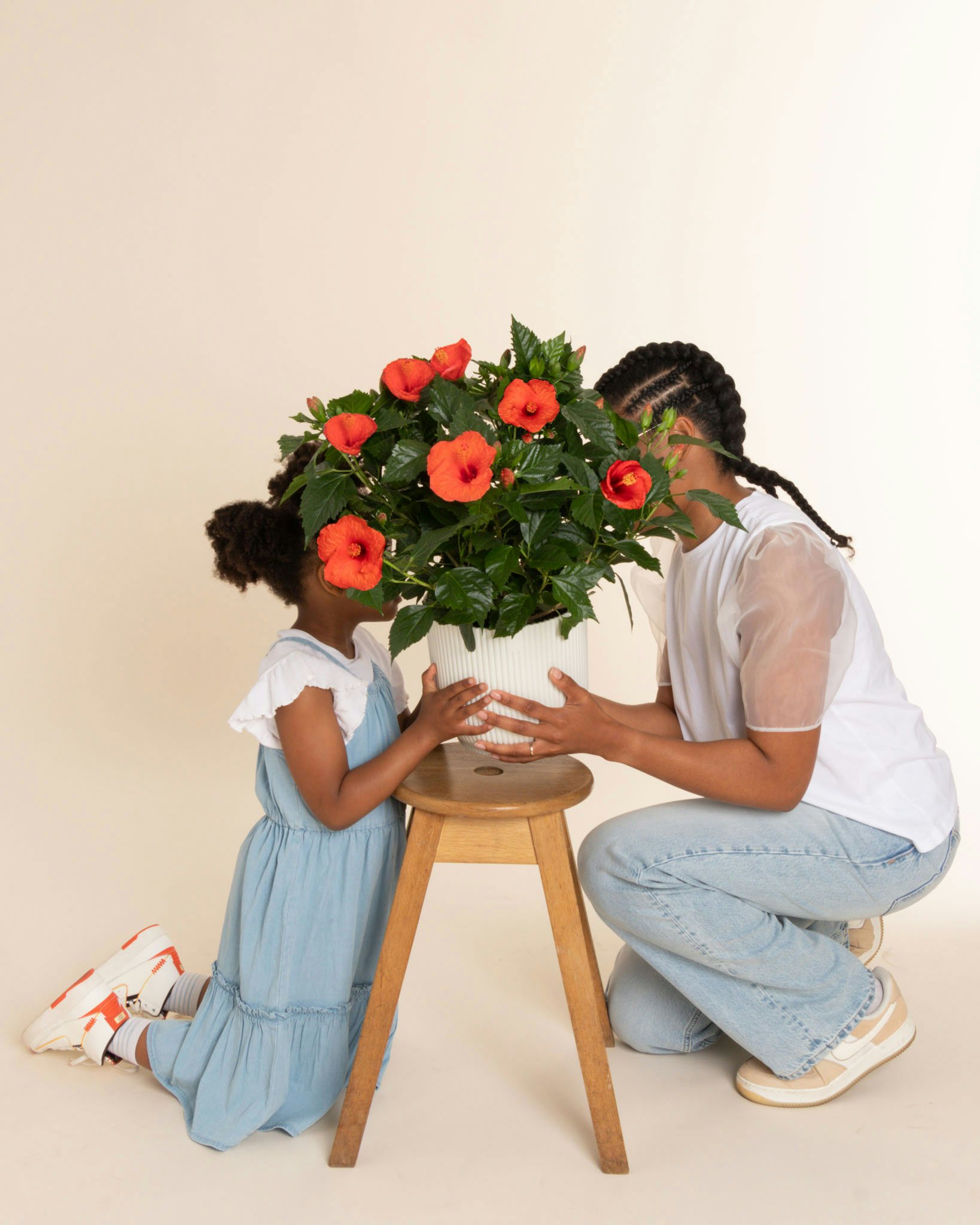 L'Hibiscus Hélèna : le cadeau fleuri parfait pour maman !