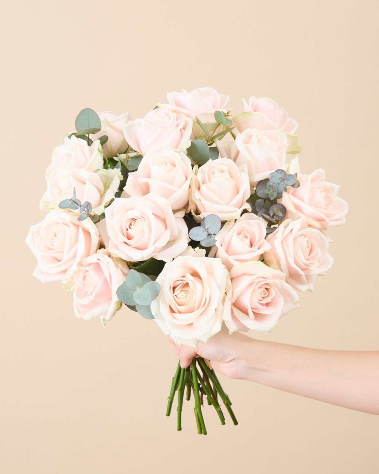 Bouquet de roses Coloma L