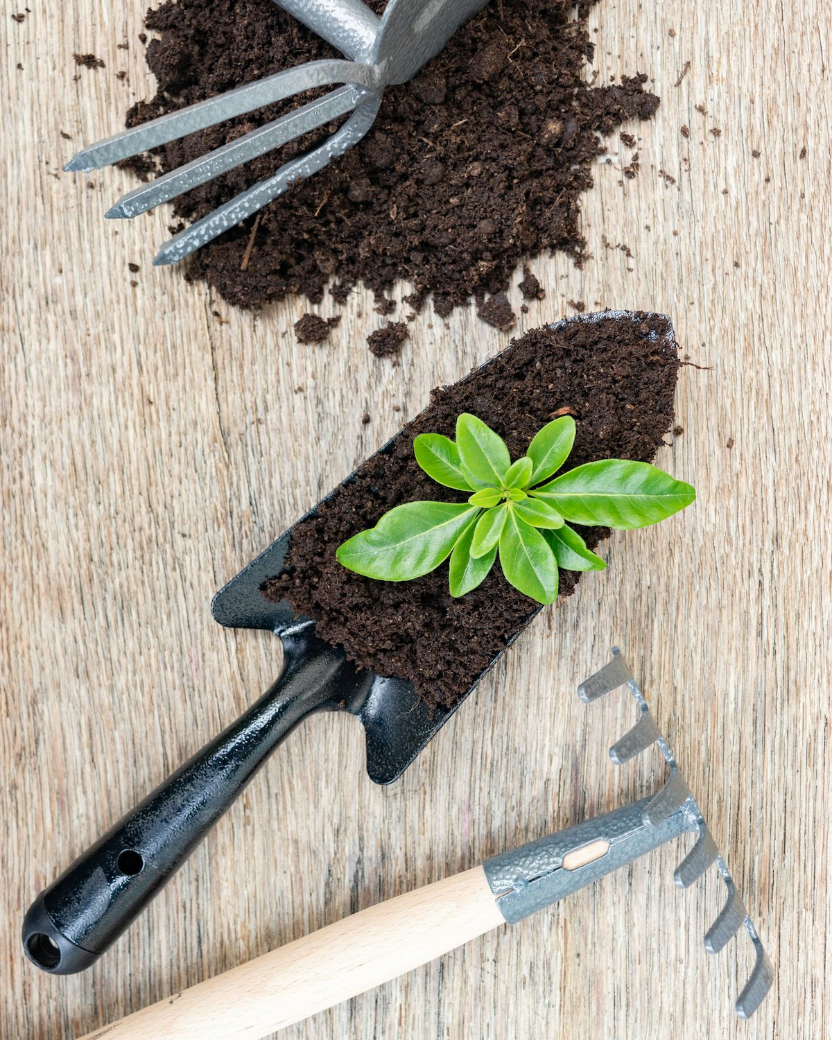 Set outils de jardinage