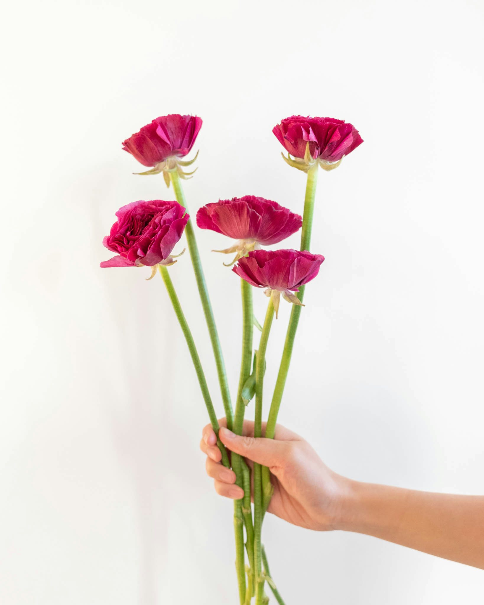anemone-bouquet