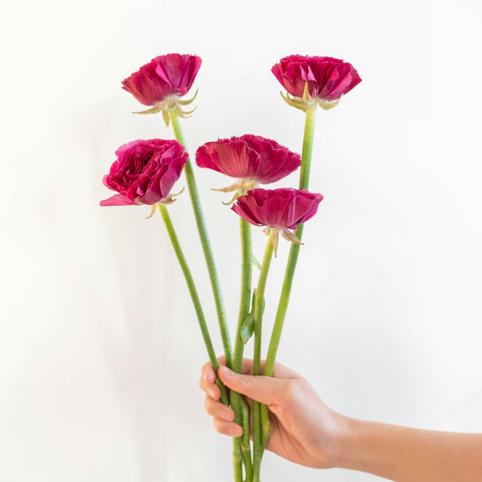 anemone-bouquet