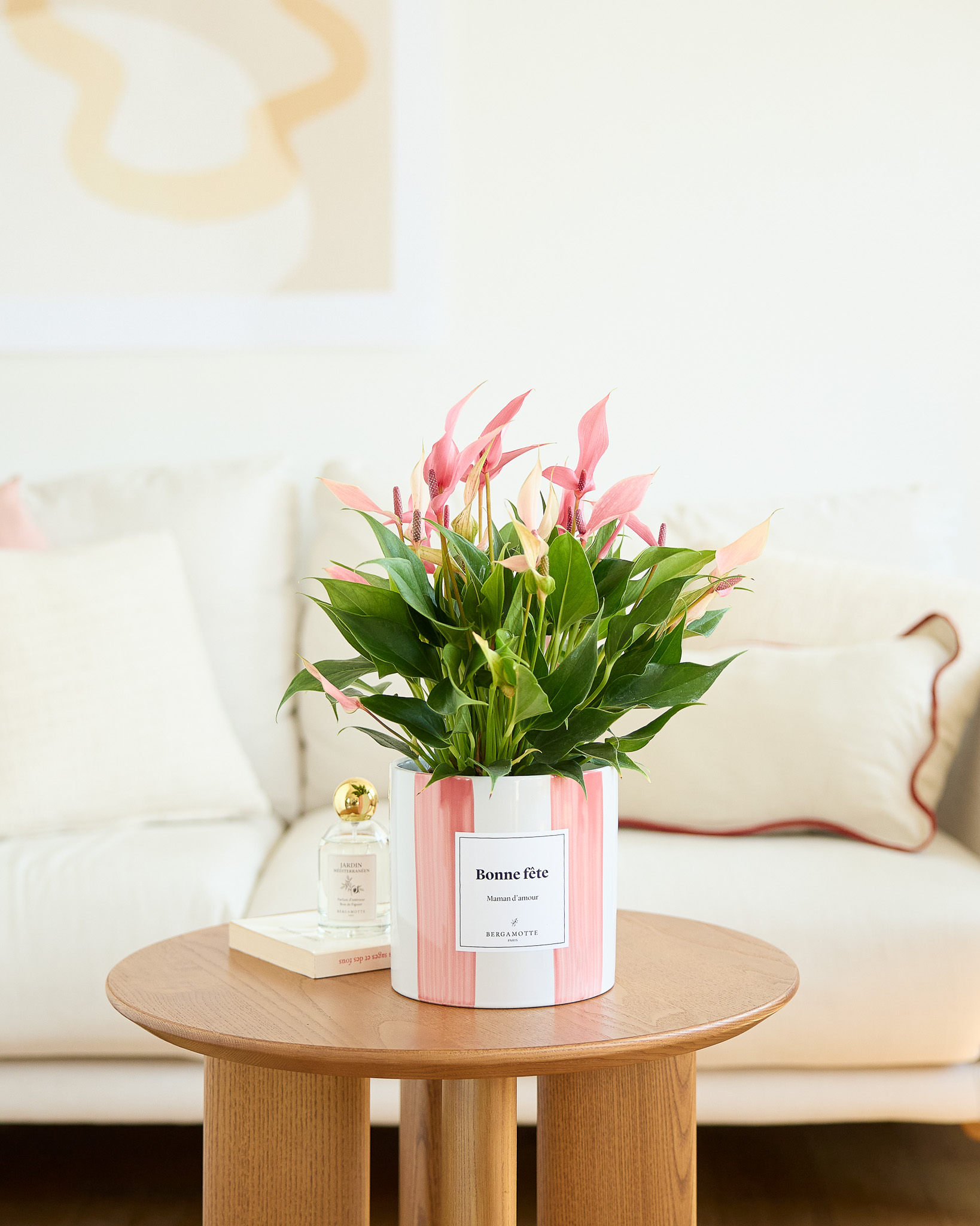 anthurium rose