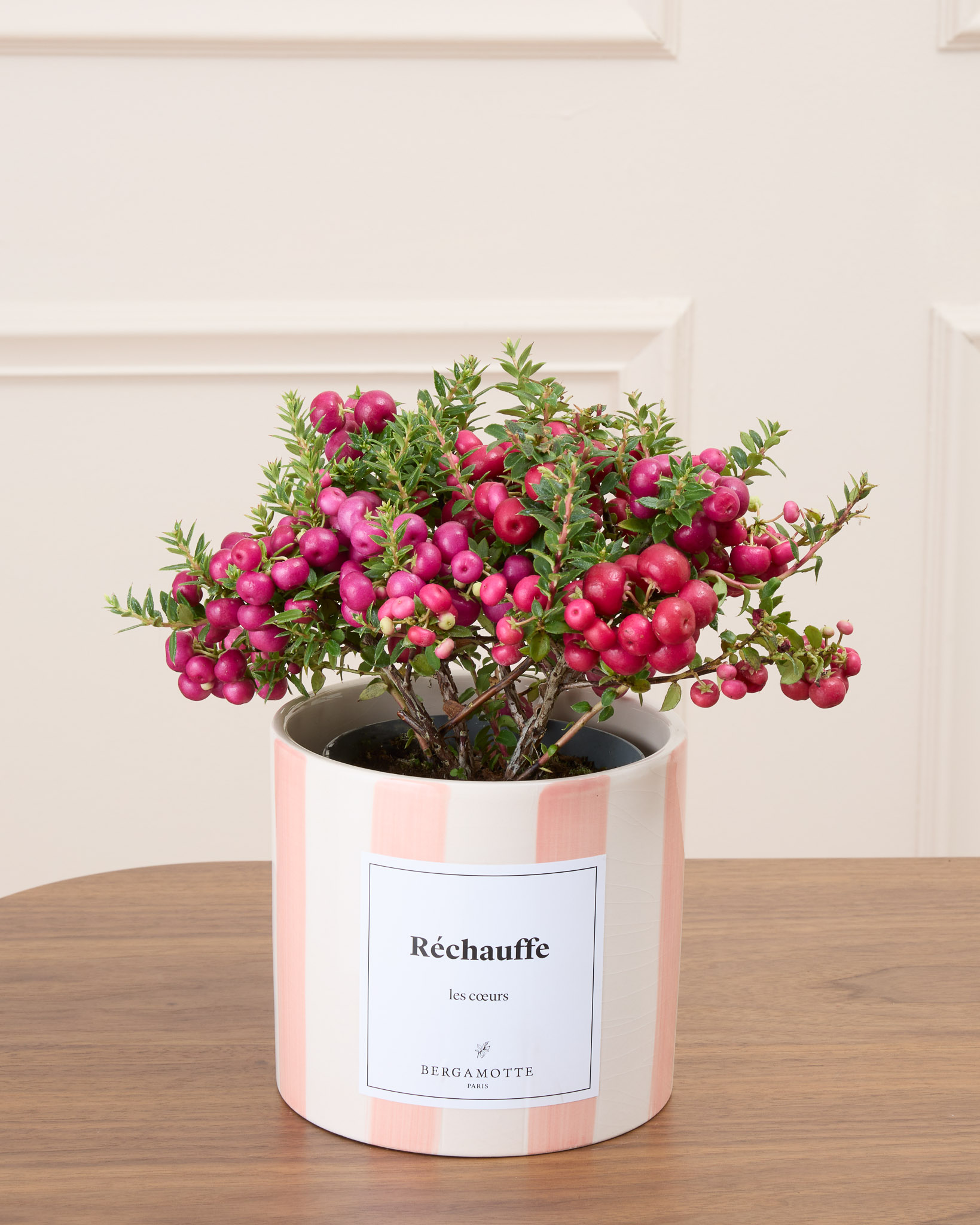 Marie et son cache-pot rayé rose personnalisé - Gaulthérie