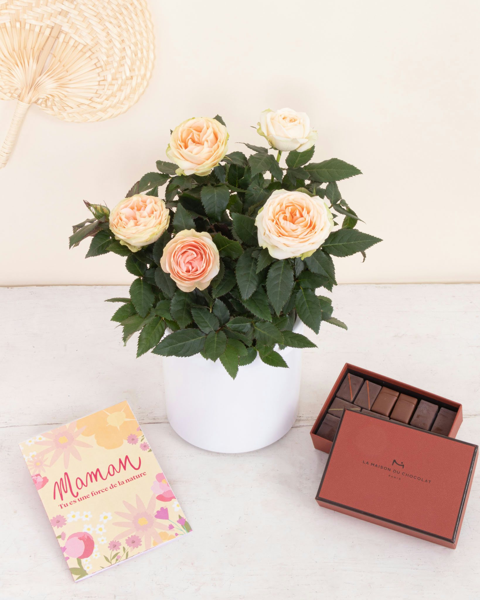 L'Offre chocolatée Jeanne contient : un rosier rose pâle, un cache-pot en céramique, un coffret La Maison du Chocolat et une carte illustrée