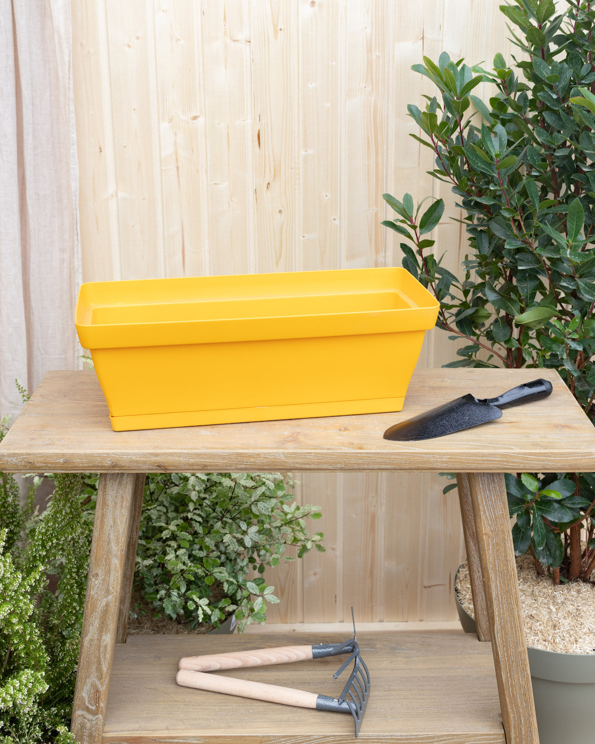  Jardinière tournesol