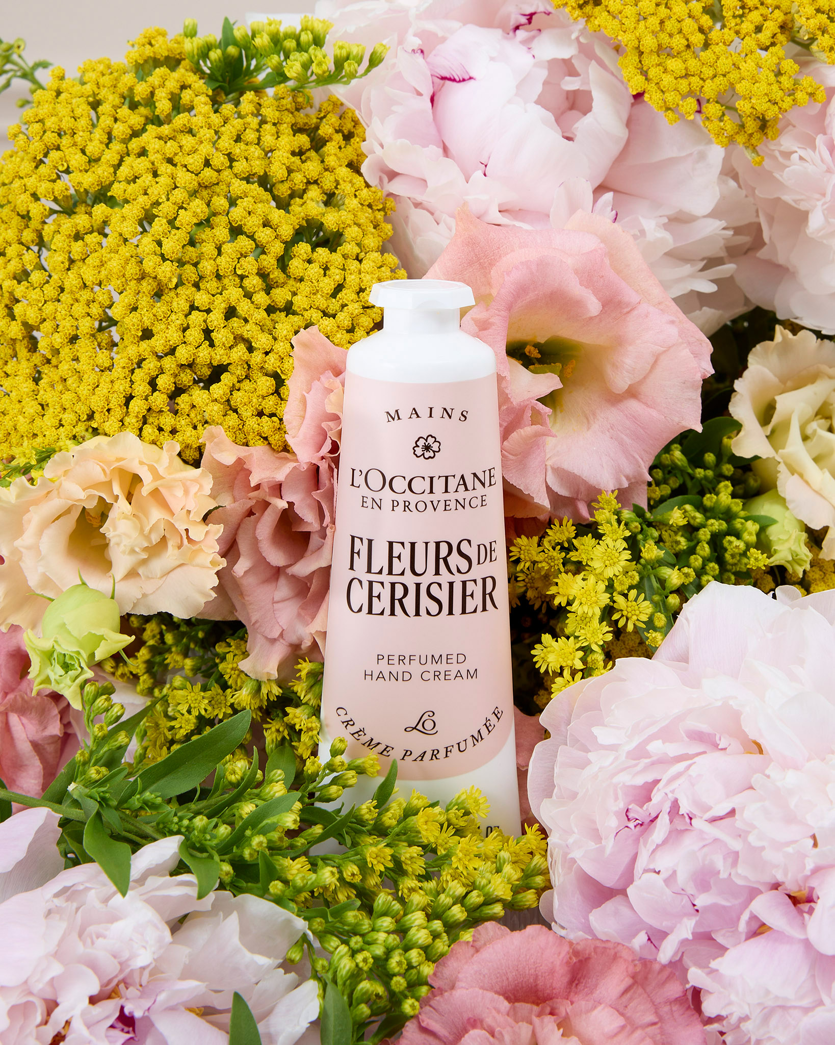 Crème pour les mains l