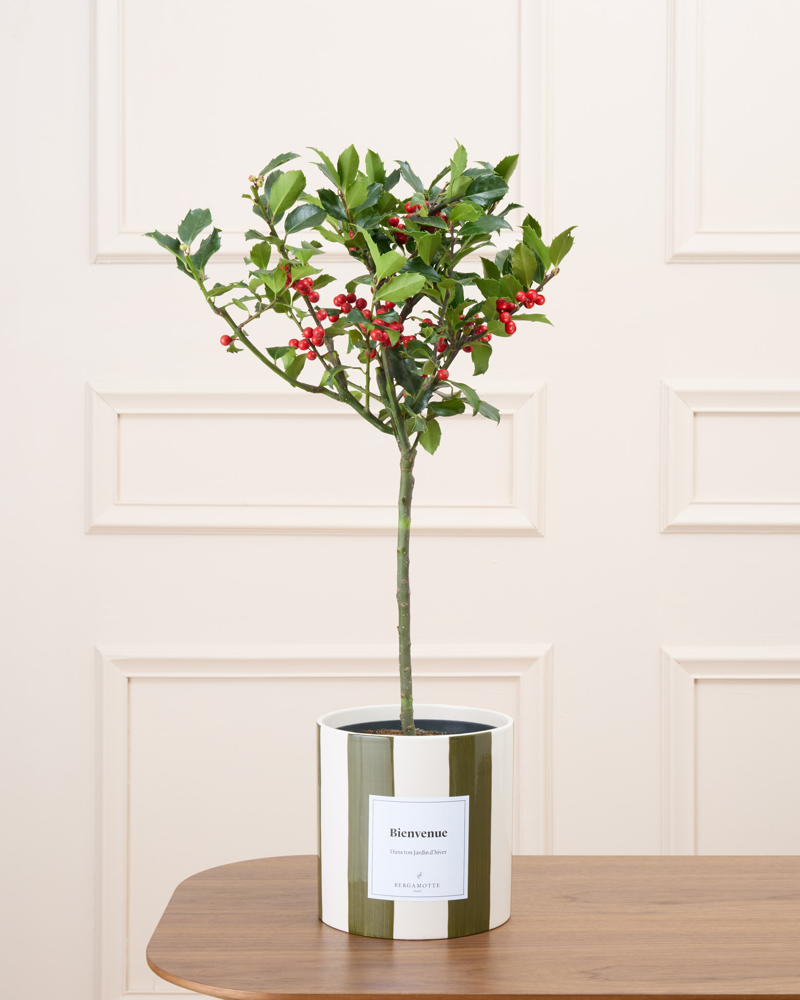 Honoré et son cache-pot rayé vert personnalisé - Houx