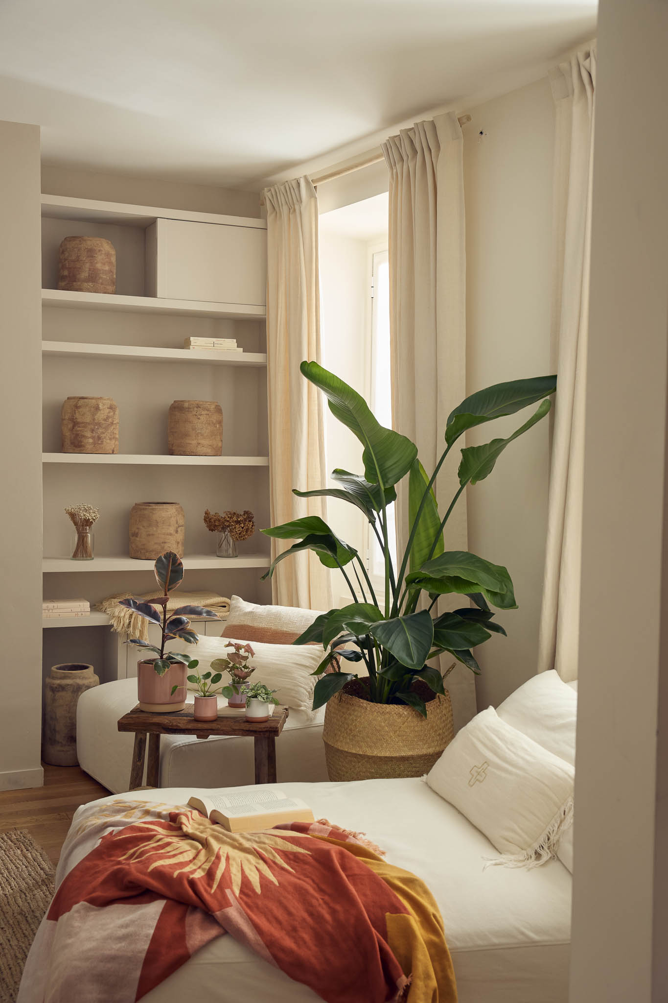 Comment entretenir vos plantes d’intérieur pendant les vacances