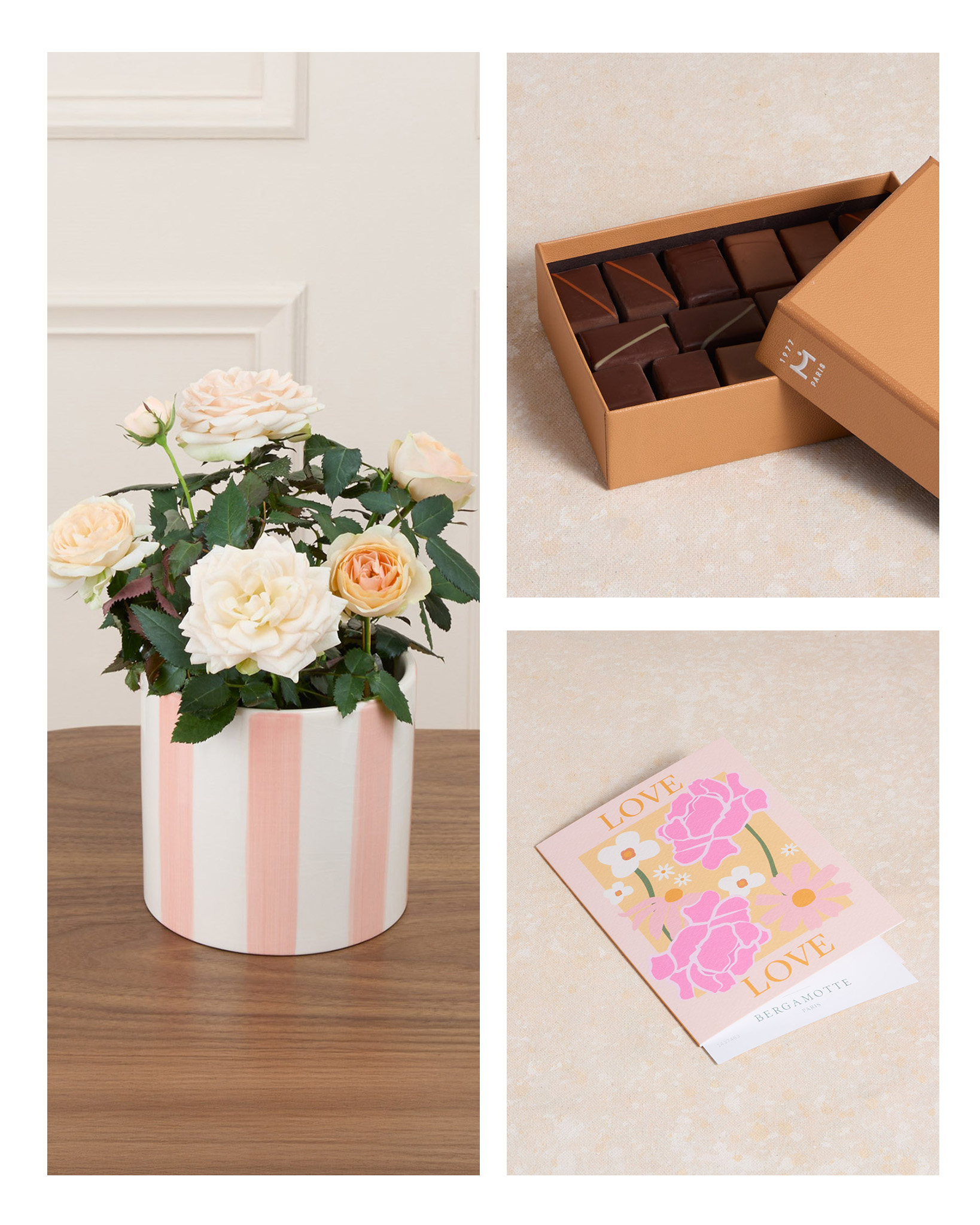 Offre gourmande plante