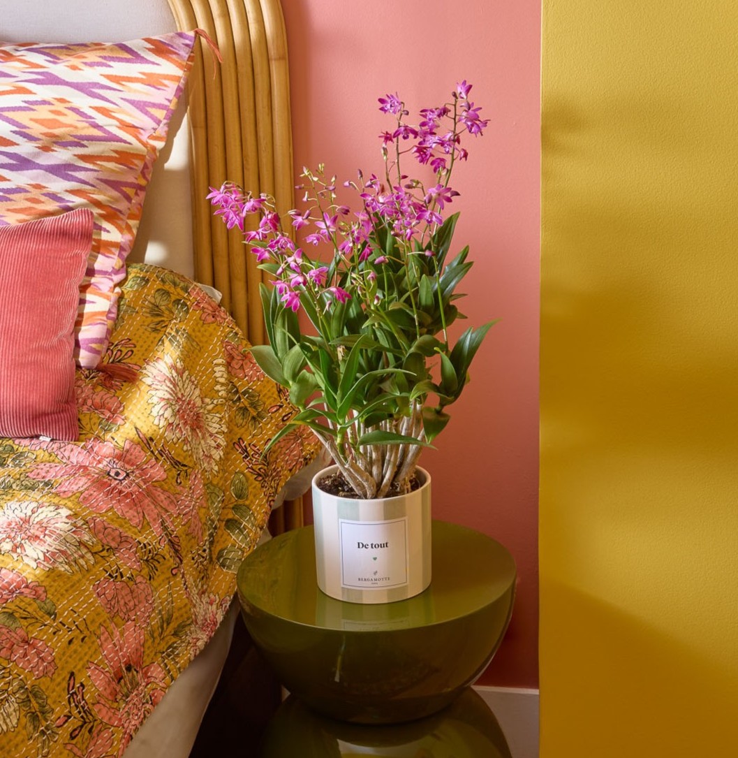 Plantes à personnaliser