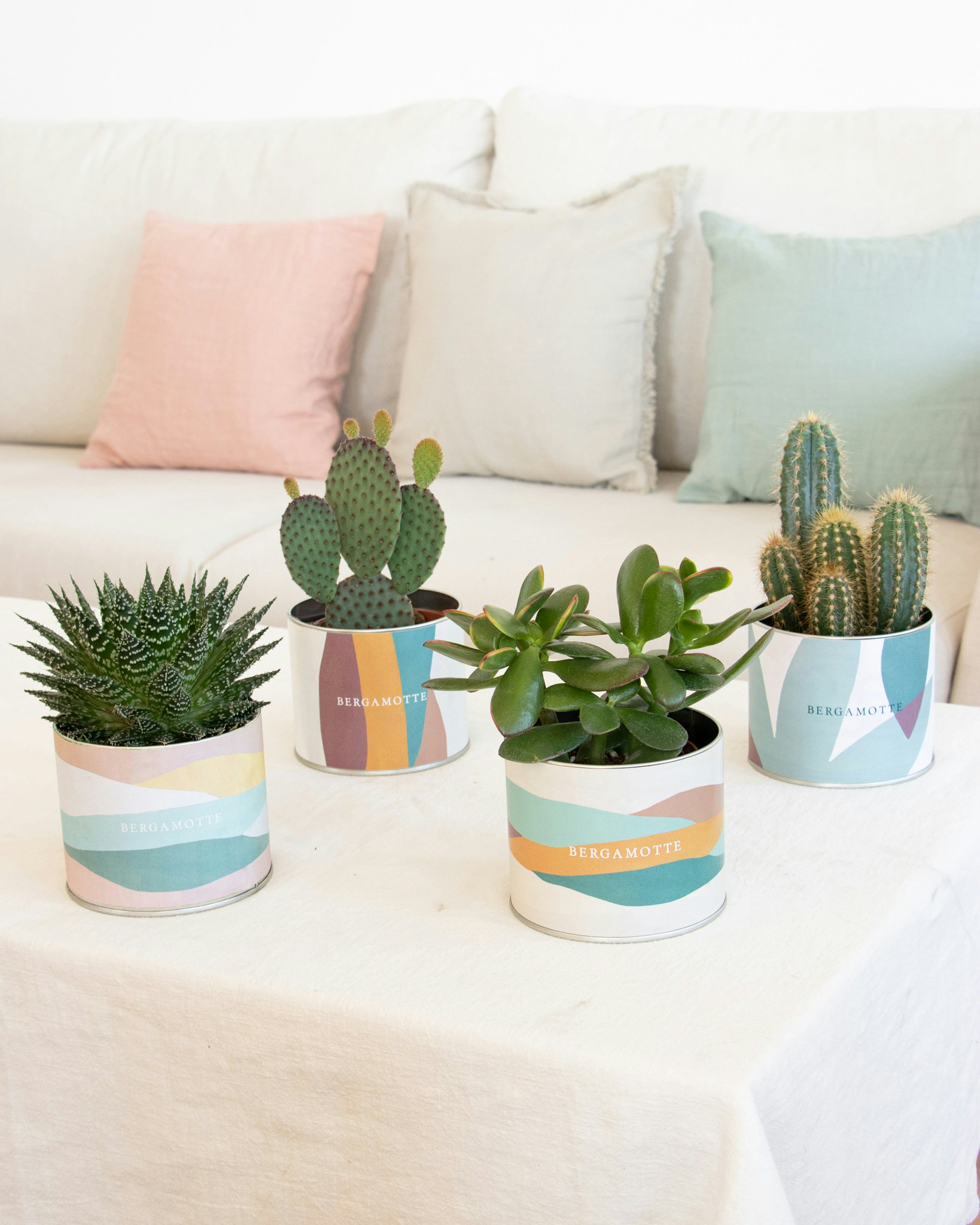 Oscar - Cactus et ses cache-pots Bergamotte