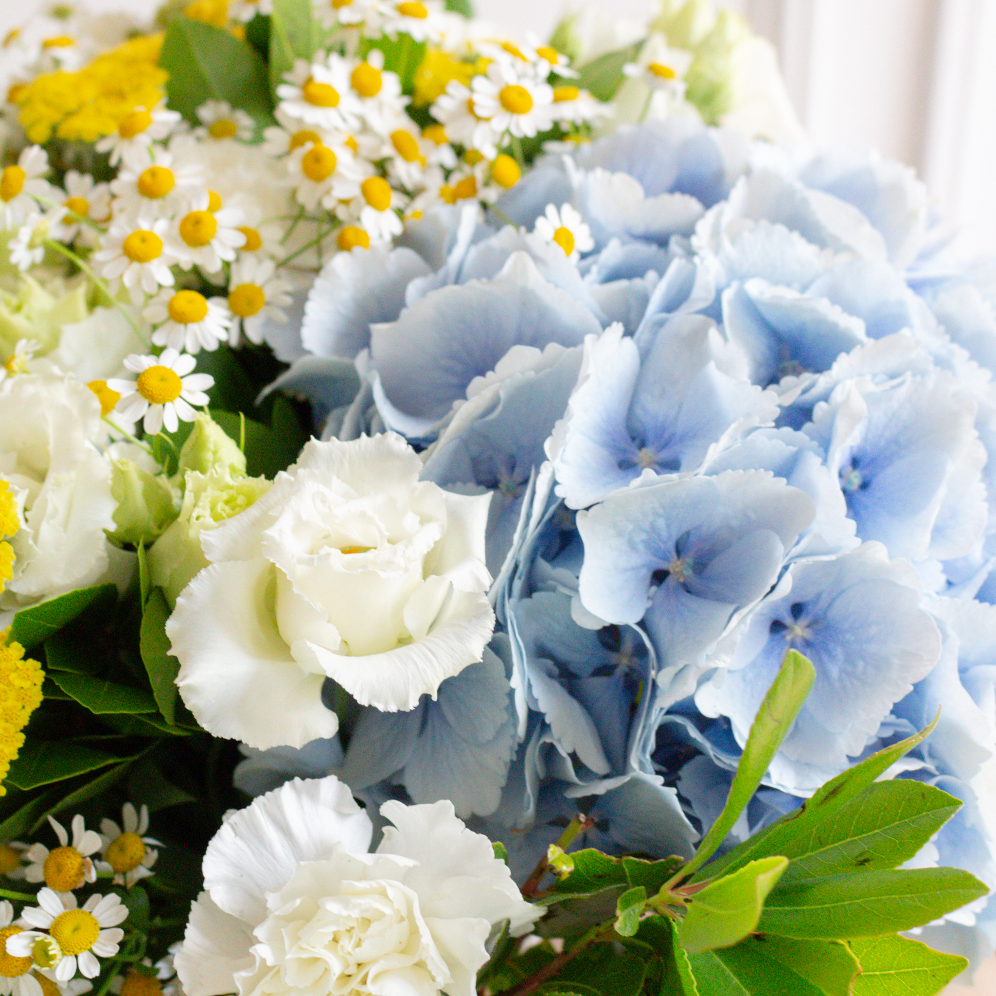 Bouquet de fleurs Varanasi Fleuriste Bergamotte