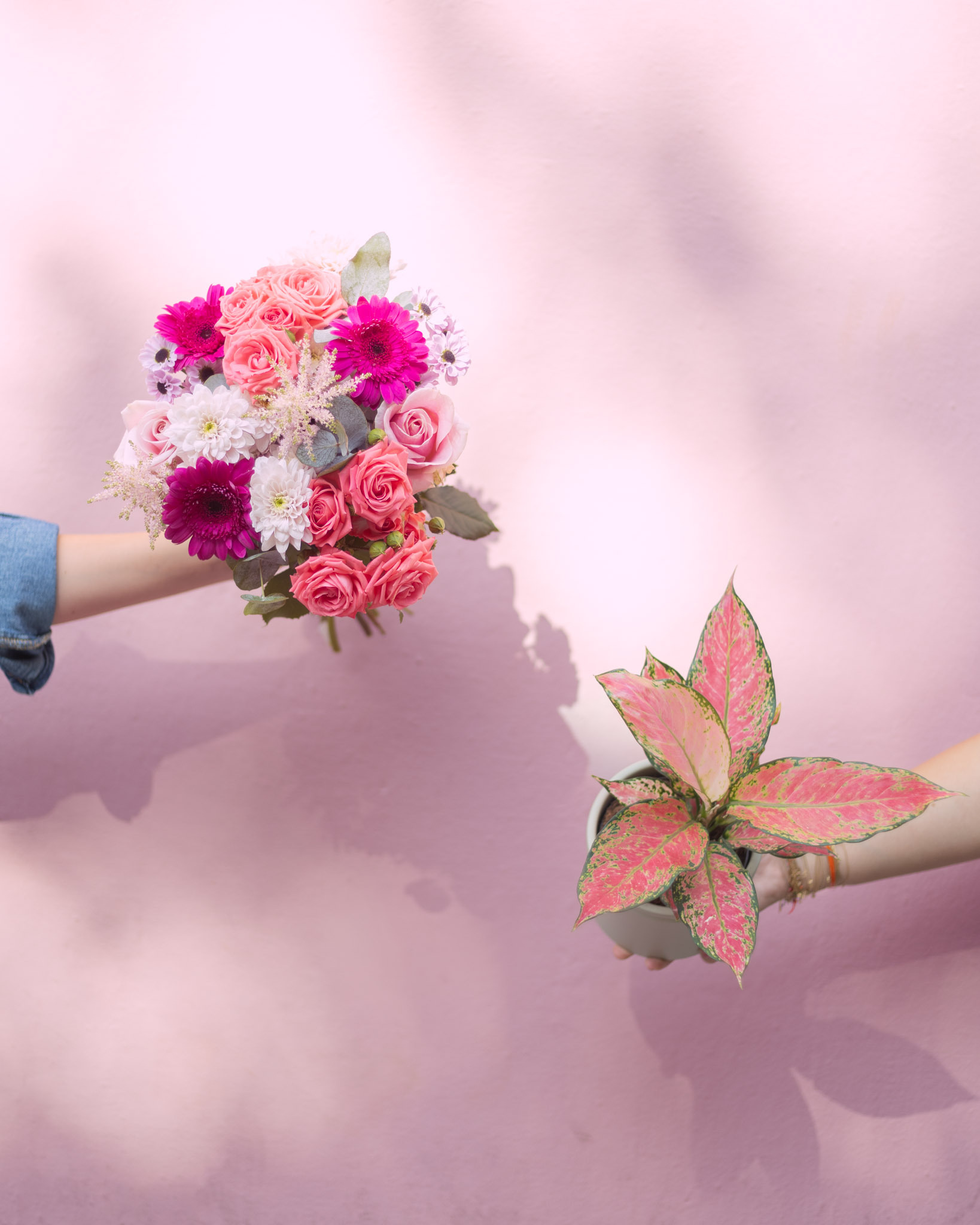 engagements-solidaires- bergamotte