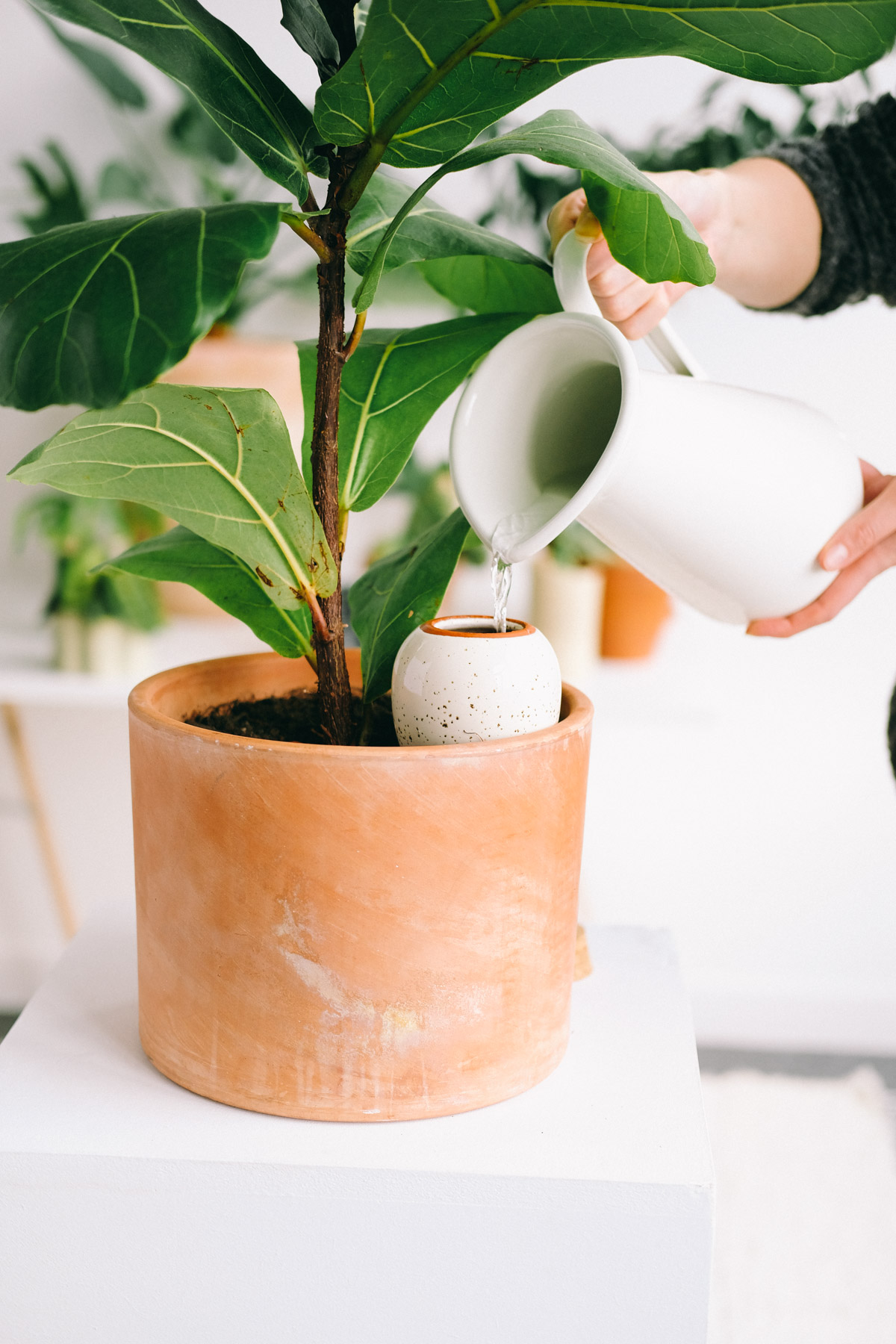 Olla hydratante : régule naturellement l’écoulement de l’eau selon le besoin de chaque plante (olla blanche non vendue - photo non contractuelle)