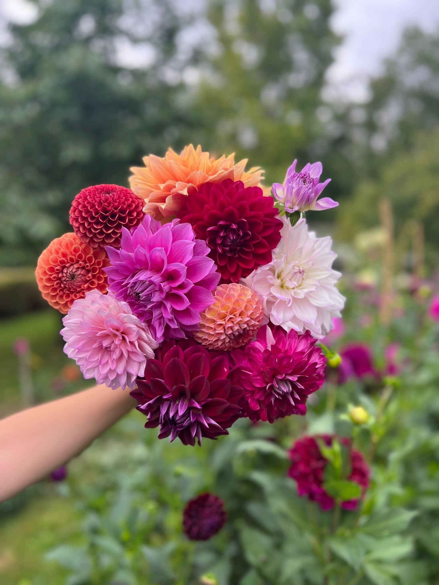 Notre Engagement pour une horticulture plus responsable et durable