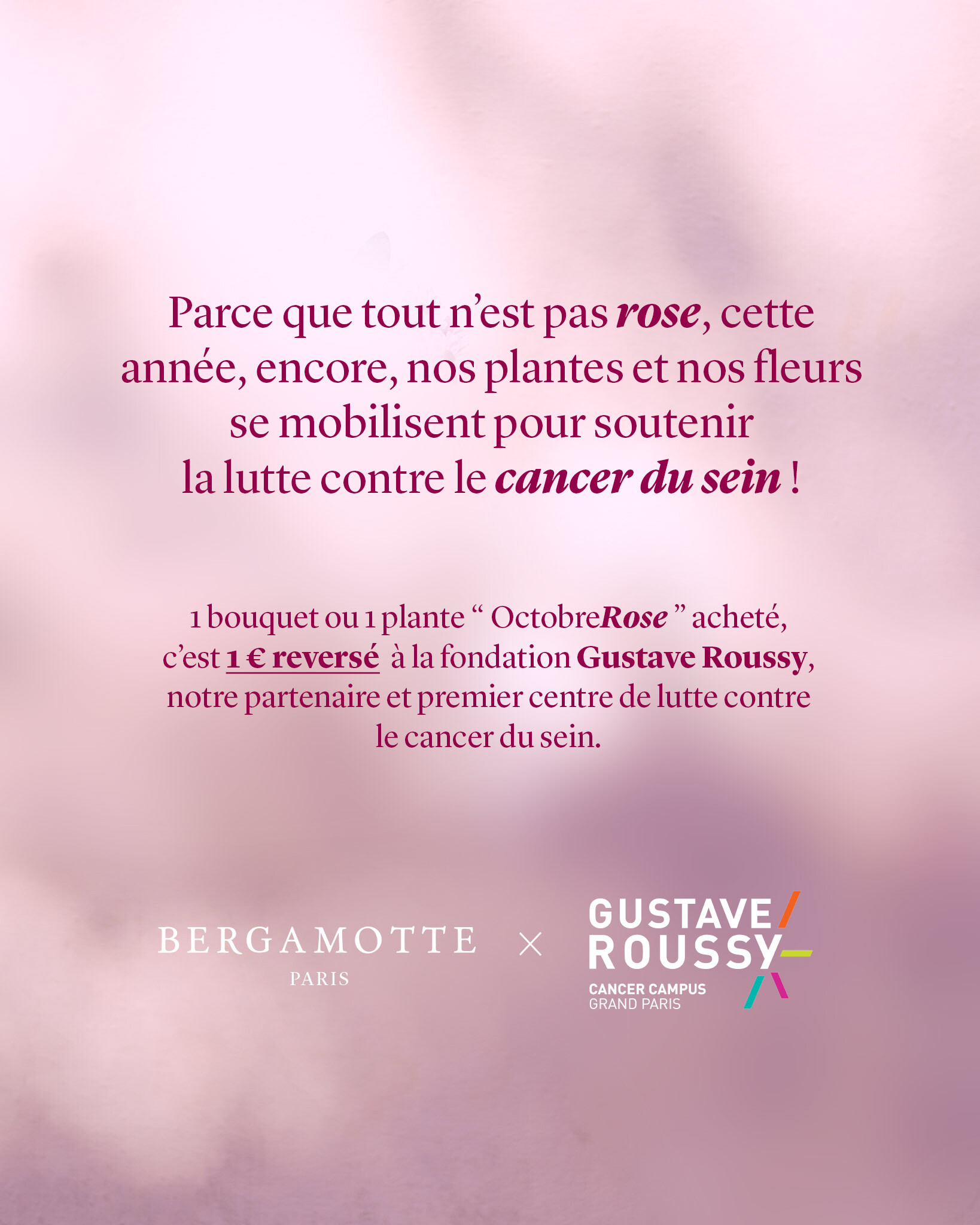 Pour chaque Aglaonema achetée, 1 € est reversé pour soutenir les chercheurs de la fondation Gustave Roussy.