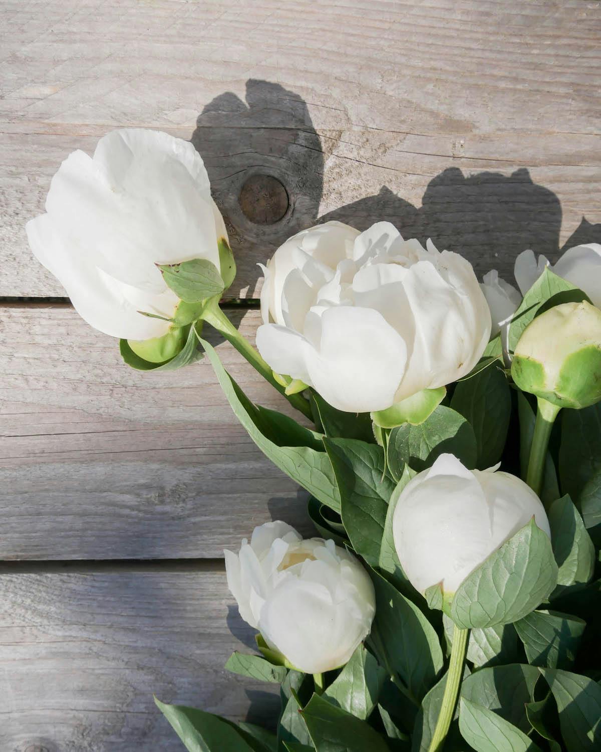 Quelle est la signification des fleurs blanches ?