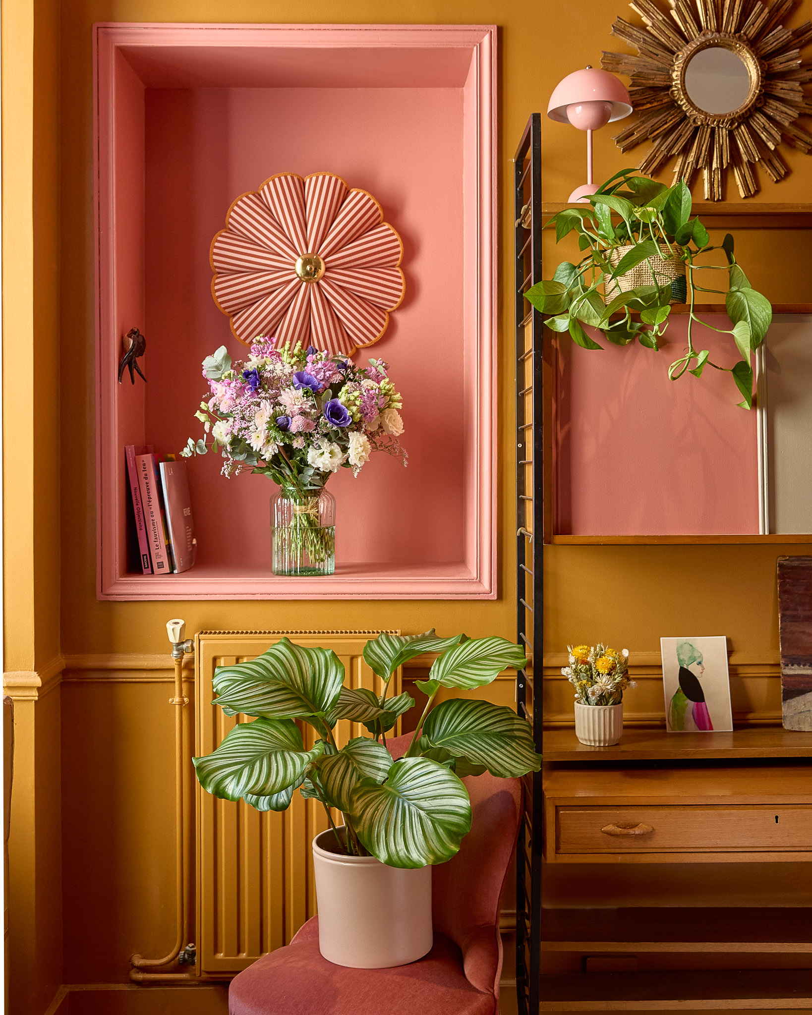 pothos sur une étagère