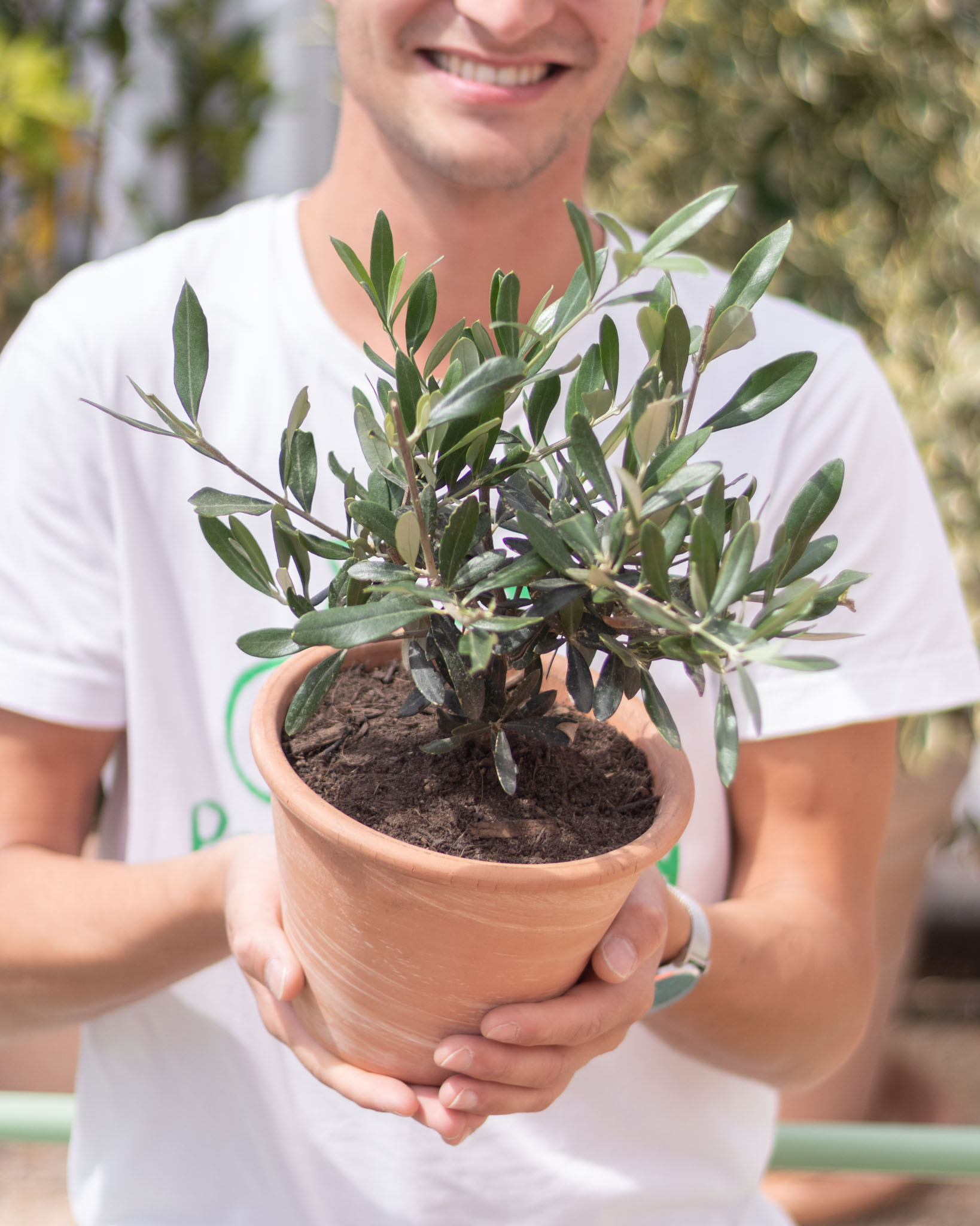 Milo et son pot en terre cuite - Olivier