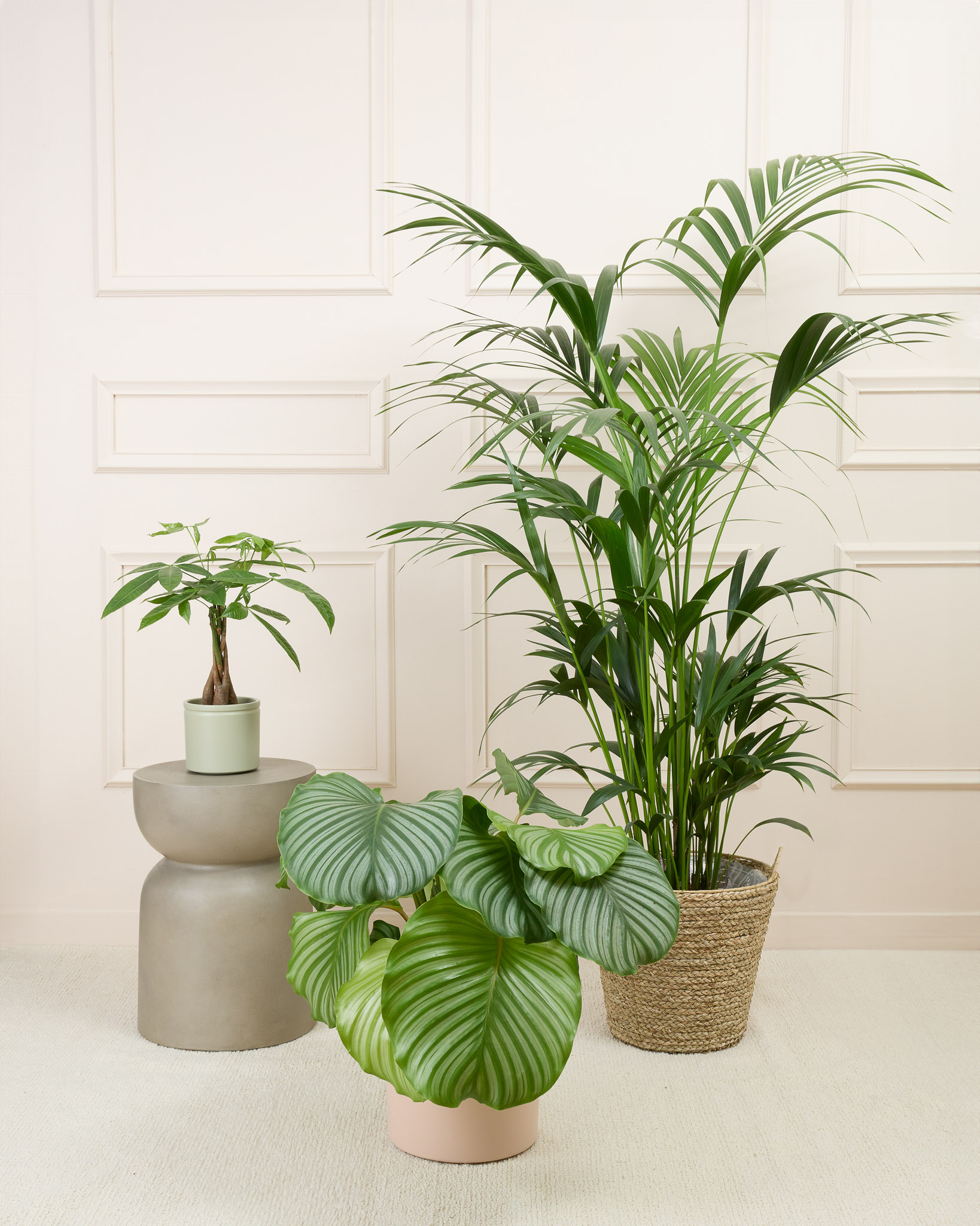 Cache-pot neutre D12 + cache-pot rose D23 + panier naturel D30