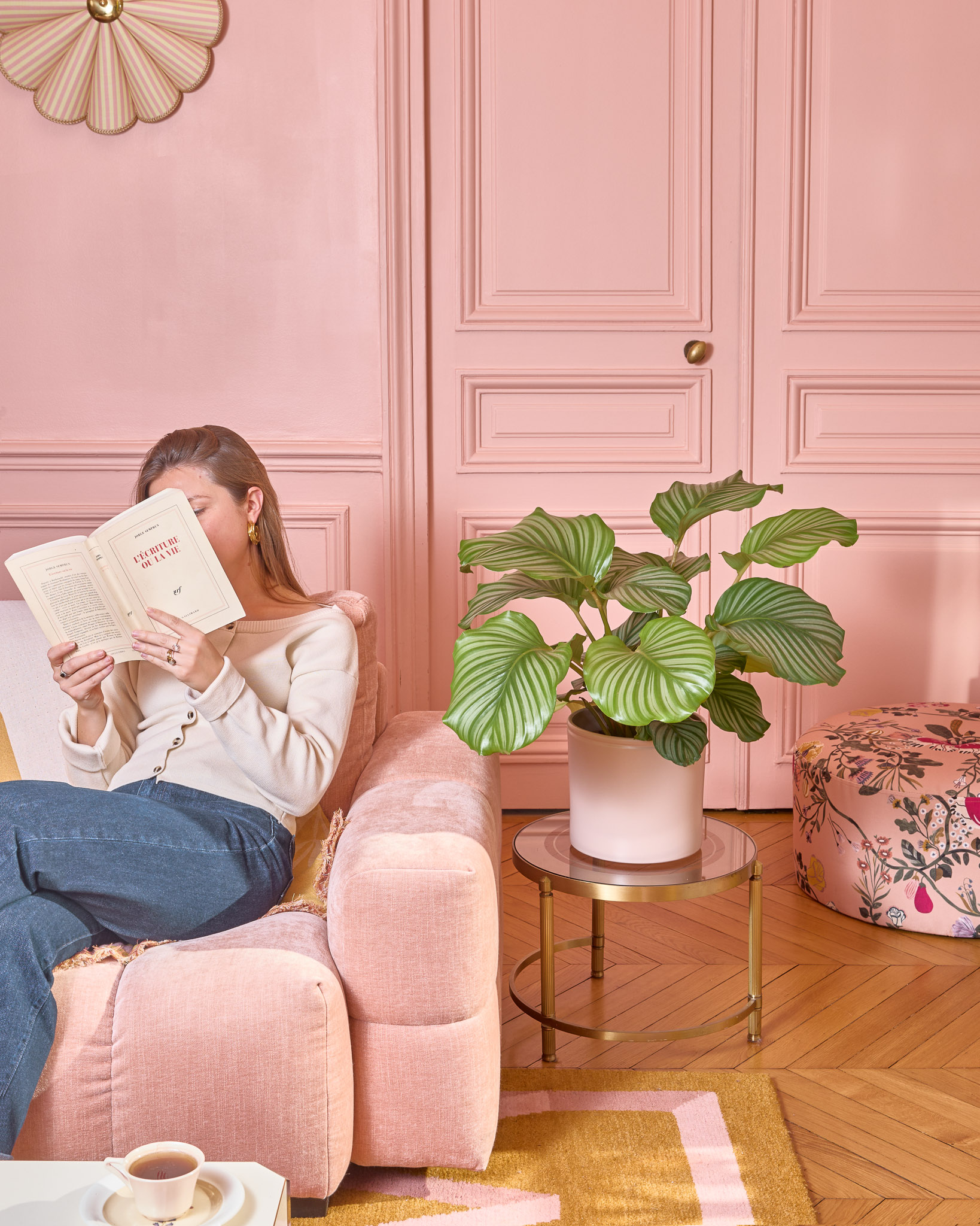 calathea en cadeau pour un collègue