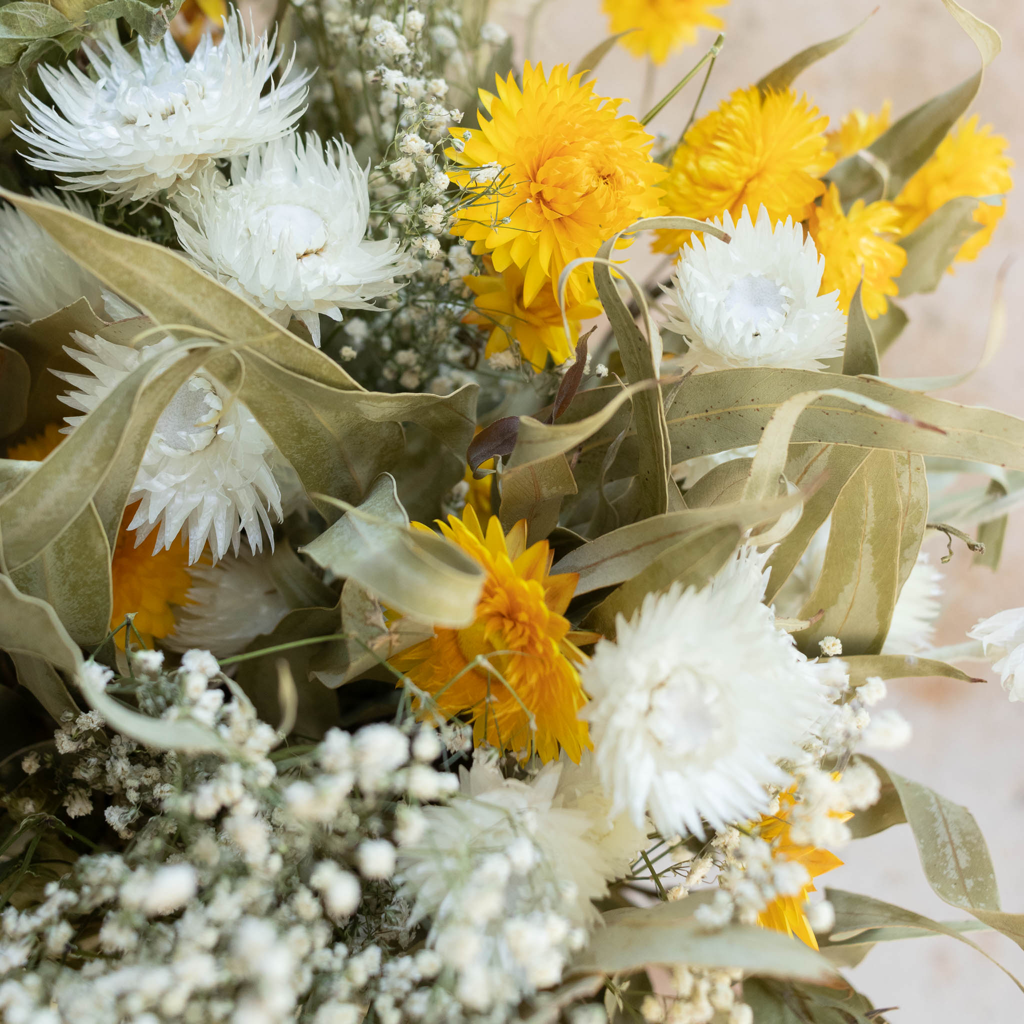 bouquets-de-fleurs-sechees